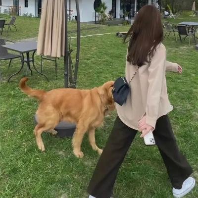一张空白照片